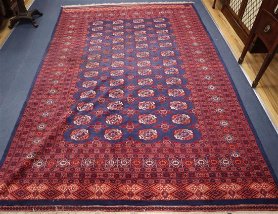 A red and blue ground Bokhara carpet 305 x 210cm